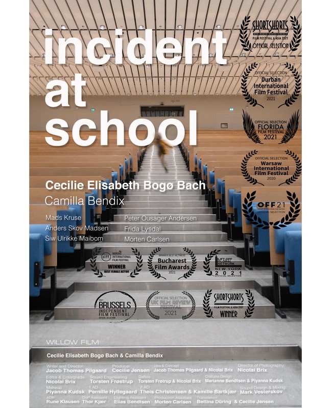 Incident at school